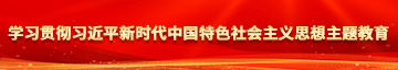 可以看帅哥美女插鸡鸡的网站学习贯彻习近平新时代中国特色社会主义思想主题教育